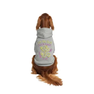 Felpa con cappuccio per cani - grigia - Bear - Streetwear
